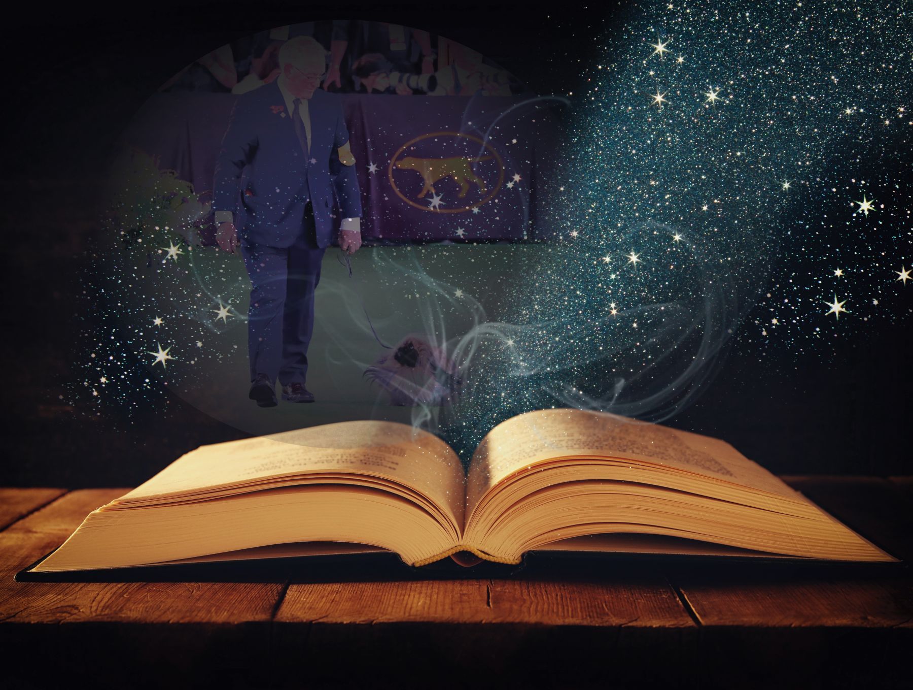 Does the Shoe Fit Now?